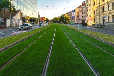 BRNO, Çek Cumhuriyeti - Eylül, 5. 2020: yeşil pist. Çimenlerle kaplı tramvay yolu. Şehirdeki yeşillik. Yaşanabilir bölge kentsel ısıyı azaltır. Ada etkisi.