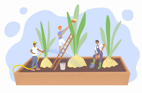 Koncept Zahradnictví Zemědělství Lidé Starají Rostliny Vodu Uvolňují Půdu Cibule — Stockový vektor