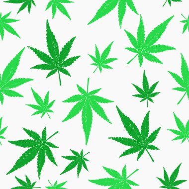 Kenevir yeşil silueti pürüzsüz bırakır. CBD marihuana, tıbbi bitki. El yapımı kenevir ambalaj, afişler, yapıştırma kitabı. 
