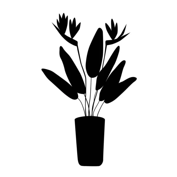 Strelitzia Une Grande Plante Domestique Dans Pot Fleurs Silhouette Noire — Image vectorielle