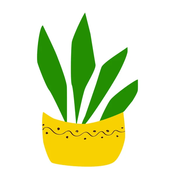 Domácí Květina Květináči Ozdobou Ručně Kreslená Jednoduchá Plochá Rostlina Dlouhými — Stockový vektor