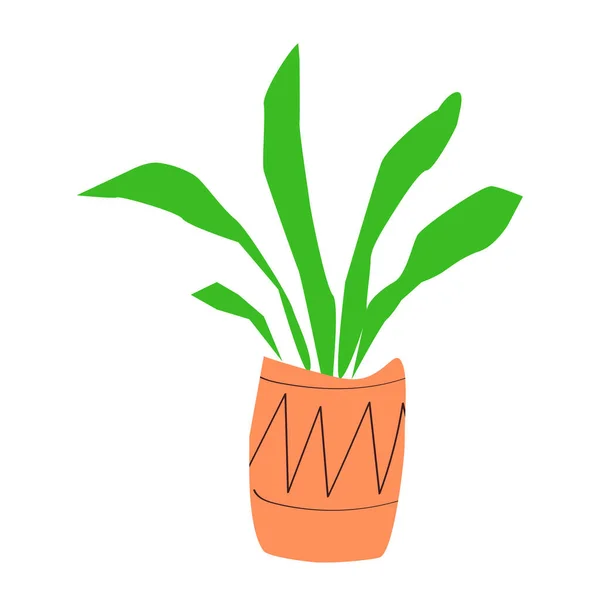 Domácí Květina Vysokém Hrnci Ozdobou Ručně Kreslená Jednoduchá Plochá Rostlina — Stockový vektor