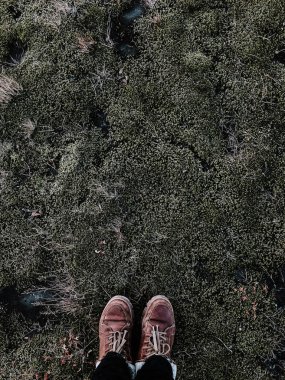 Bakış açısı moss üzerinde duran bir kişi ile. İki bacak ve ayakkabı resimde görülebilir.