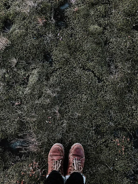 站在青苔上的人的观点 两条腿和鞋子在图画中可见 免版税图库图片