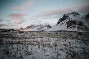 Stokksnes, İzlanda'daki bazı dağlar önünde karlı bir alan.
