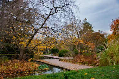 Parkta sonbahar manzarası