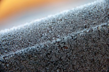 Kanada kazı kameraya bakıyor