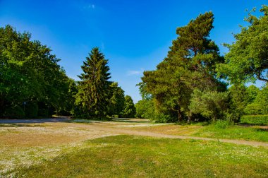 Yaz zamanı park et.