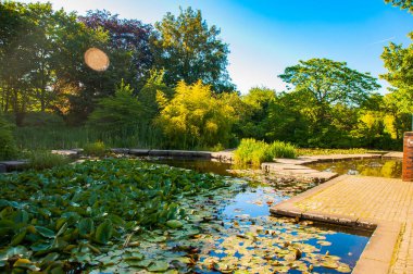 Yaz zamanı park et.