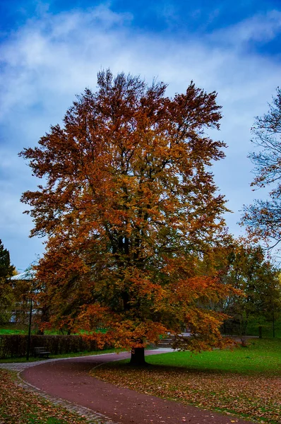 Herbst Park — Stockfoto