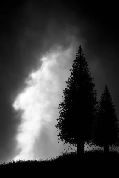 Silhouet Van Bomen Tegen Een Achtergrond Van Donkere Wolken — Stockfoto