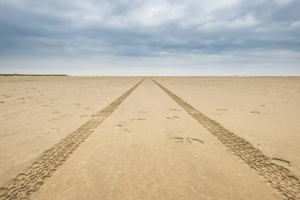 Отпечаток Шин Автомобиля Песке Пустынном Туманном Пляже Оставляют Следы Шин — стоковое фото