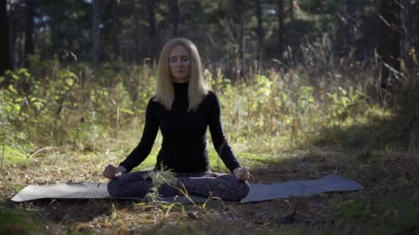 Woman doing yoga in the forest — Stock Video