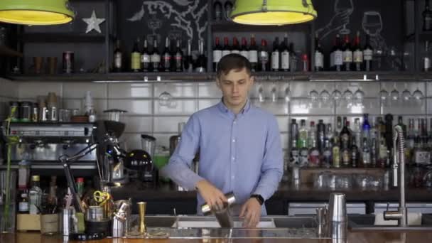 Fantastically beautiful bartender tosses two shakers — Stock Video