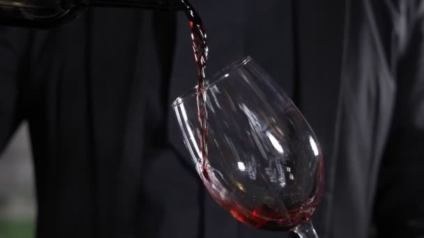 Vin versé de la bouteille dans un verre dans un bar — Video