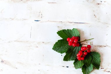 Olgun kırmızı kuş üzümü çilek ve açık renkli yapraklarda