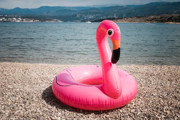 Pembe Flamingo. Şişme çember. Yaz. Deniz