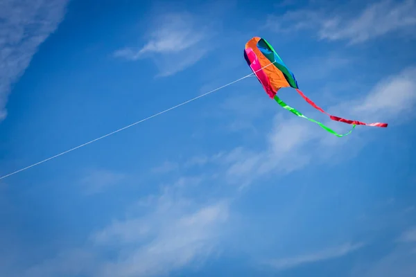 Aquilone Che Vola Contro Cielo Blu — Foto Stock