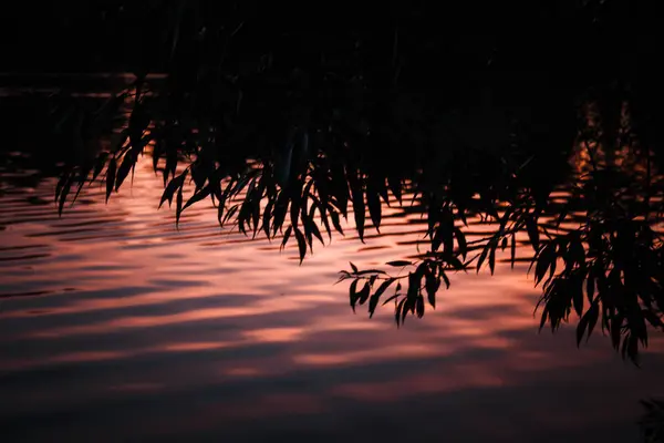 Belo pôr do sol refletido na água do lago — Fotografia de Stock