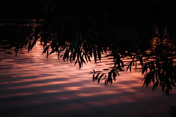 Magnifique coucher de soleil reflété dans l'eau du lac — Photo