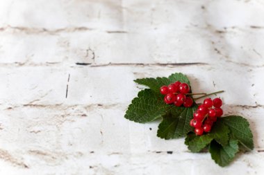 hafif bir arka plan üzerinde yeşil yaprakları ile kuş üzümü çilek