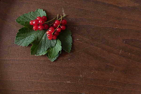 Смородинові ягоди з зеленим листям на темному фоні — стокове фото