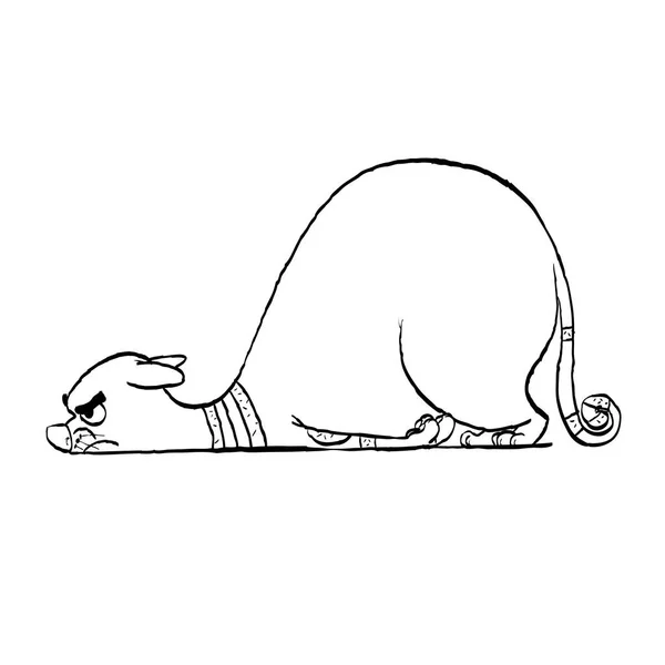 Gato cansado. Ilustração de vetor de gato gordo mentiroso. Gato triste . —  Vetores de Stock