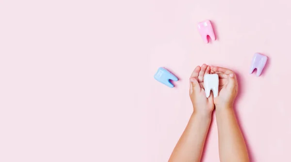 Child's hands holding big tooth and toothbrush on pink backgroubd. Healty care teeth concept. Top view, flat lay. Copy space for your text.