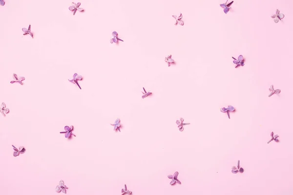 Modello di fiori di fiori di lilla in colori rosa . — Foto Stock