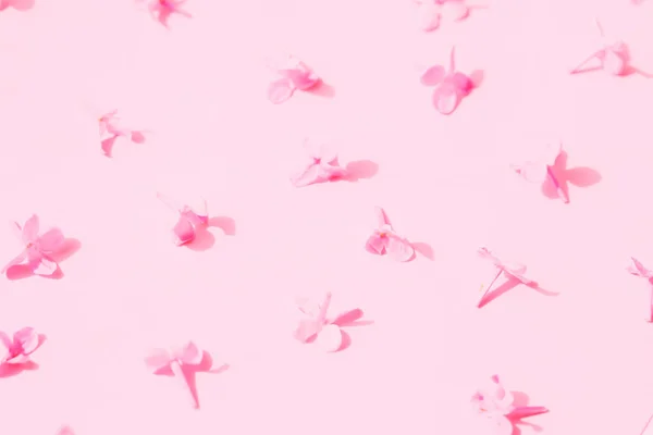 Modello di fiori di fiori di lilla in colori rosa . — Foto Stock