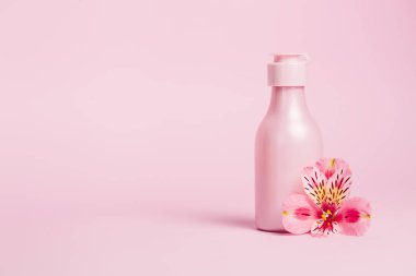 Pembe şişeli yaratıcı asgari güzellik ve sağlık geçmişi