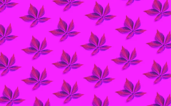 Pink toned leaf trendy pattern on pink background. — Stock Photo, Image