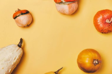 Turuncu arka planda dekoratif balkabakları. En az Cadılar Bayramı Şükran Günü modası konsepti.