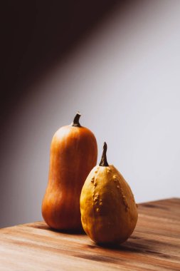 Ahşap masada iki balkabağı ve sanat ışığı..