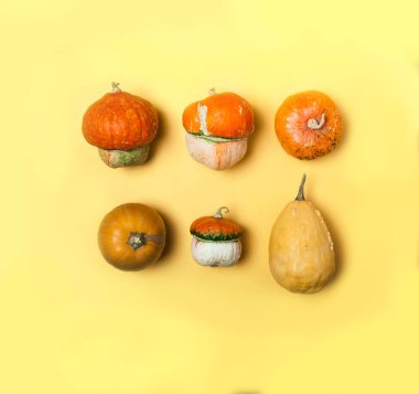 Turuncu arka planda dekoratif balkabakları. En az Cadılar Bayramı Şükran Günü modası konsepti.