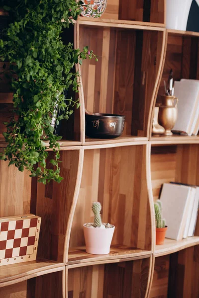 Houten Boekenkast Cactus Plank Lege Meubels Rechtenvrije Stockafbeeldingen