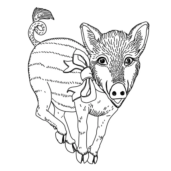Cochon Avec Ruban Noir Blanc Dessin Ligne Modèle Pour Gravure — Image vectorielle