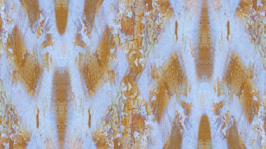 Renkli grunge boyalı duvar arkaplanı