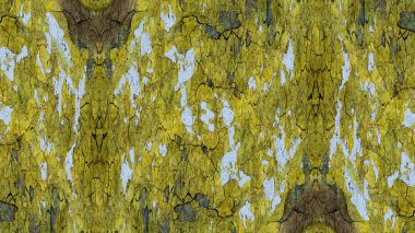 boya ile yeşil sıva