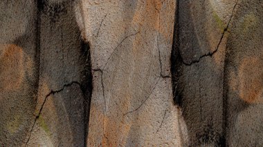 Renkli grunge boyalı duvar arkaplanı