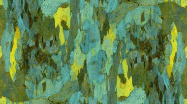 Çınar doku kabuğu