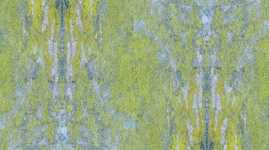 Yeşil grunge duvar arkaplanı