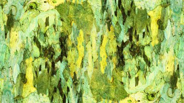 Çınar kabuk dokusu