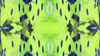 Soyut Renkli Fon duvar kağıdı