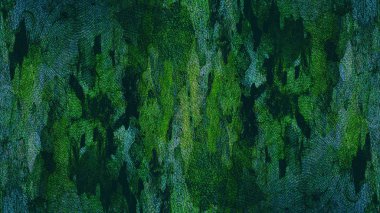 Çınar kabuk dokusu