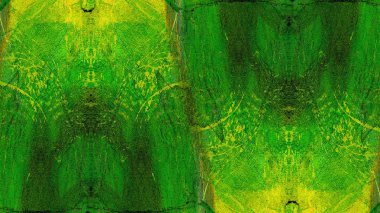 boya ile yeşil sıva