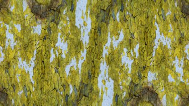 simetrik geometrik grunge arka plan