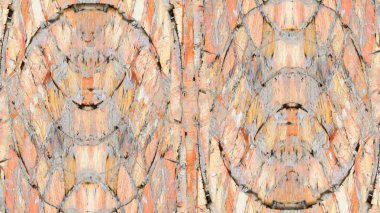 Renkli grunge boyalı duvar arkaplanı