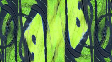 Soyut Renkli Fon duvar kağıdı