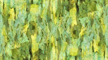 Çınar kabuk dokusu